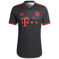 Bayern Munich Soccer Jersey Replica Third 2022/23 Mens (Player Version)