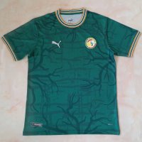 Senegal Soccer Jersey Replica Green Special Edition Mens 2022