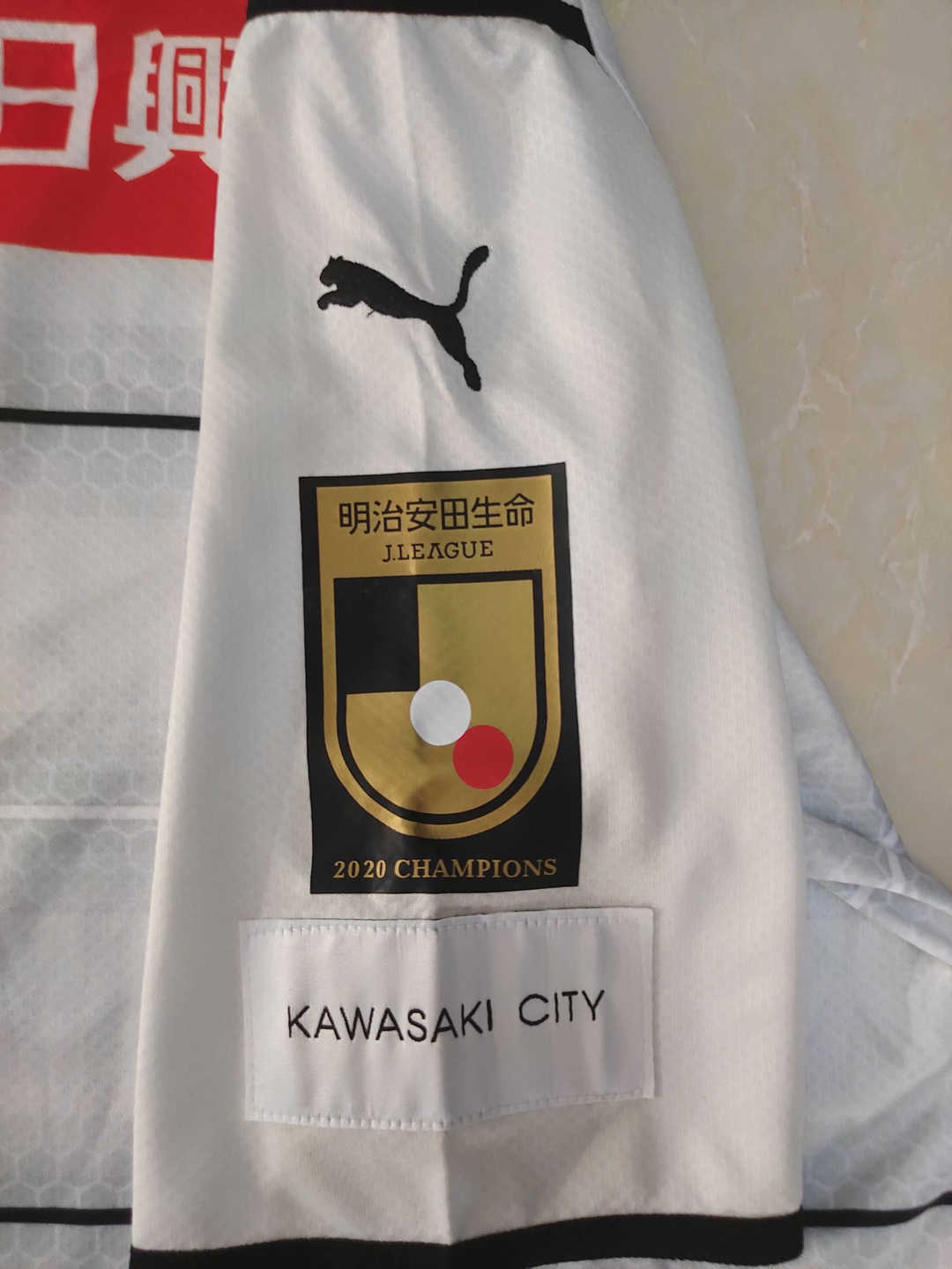 2021/22 Kawasaki Frontale Soccer Jersey Away Replica  Mens 